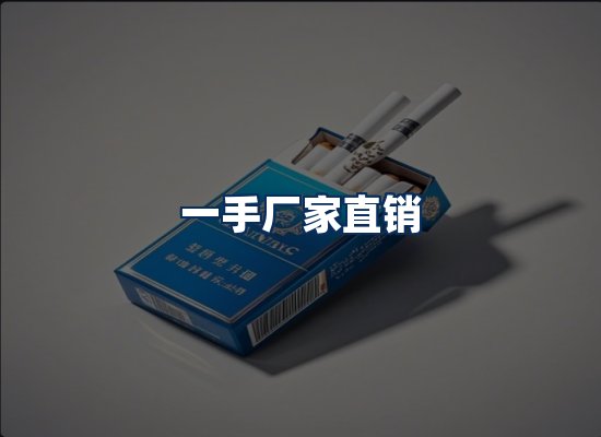 专业团队办公环境